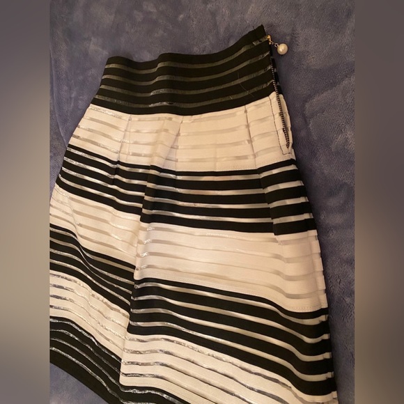 NWT Elegant Stripe Sheer Skirt - Picture 7 of 7